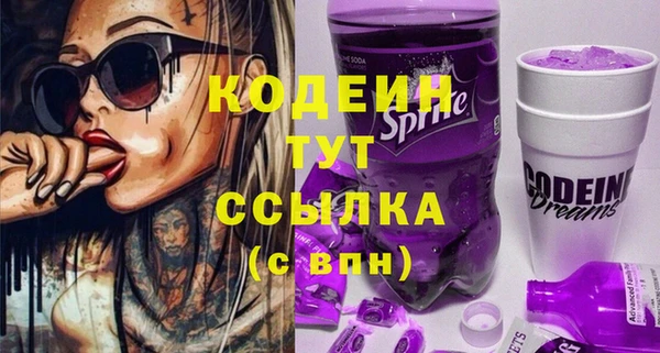 гидра Горняк