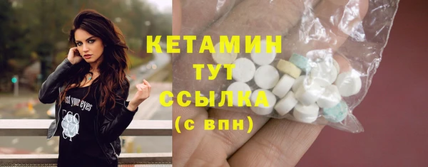 гидра Горняк