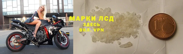гидра Горняк