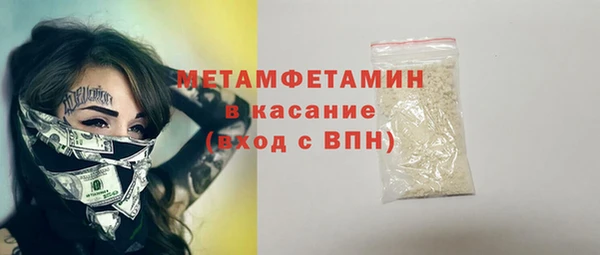 гидра Горняк