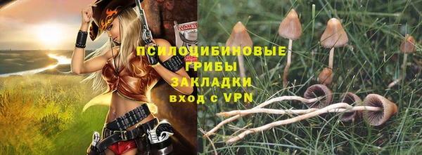 гидра Горняк