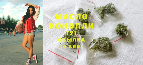 гидра Горняк