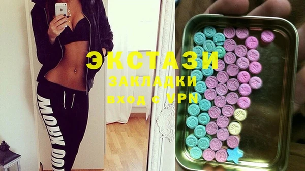 гидра Горняк