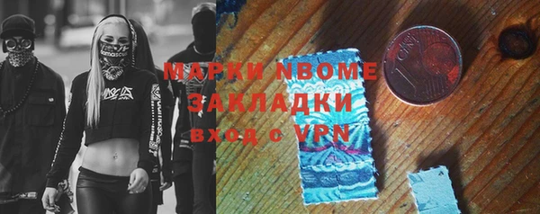 гидра Горняк