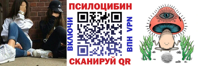 Псилоцибиновые грибы мицелий продажа наркотиков Долинск